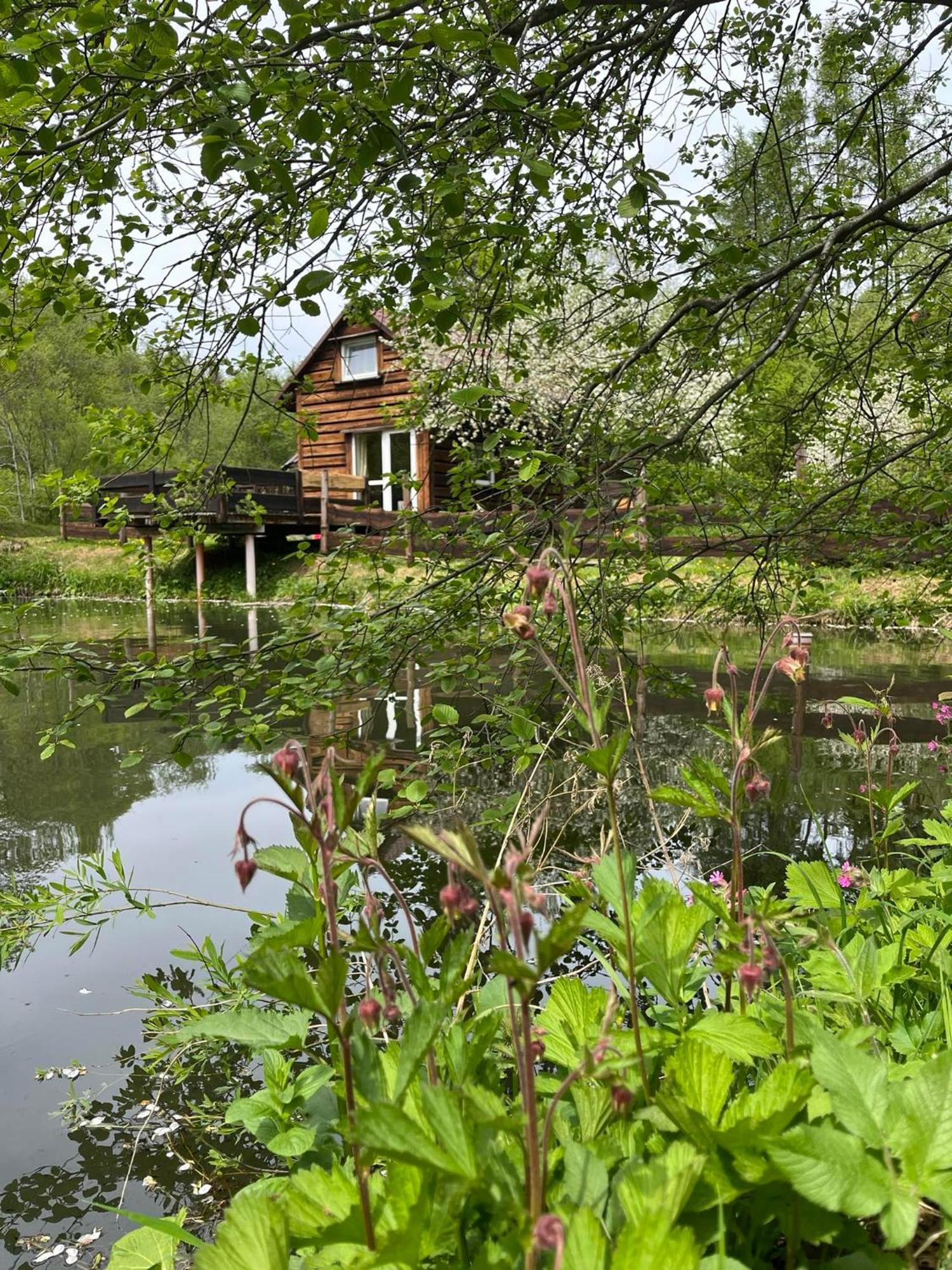 Pod Dobrym Adresem- Domek Nad Stawem Cisna Esterno foto