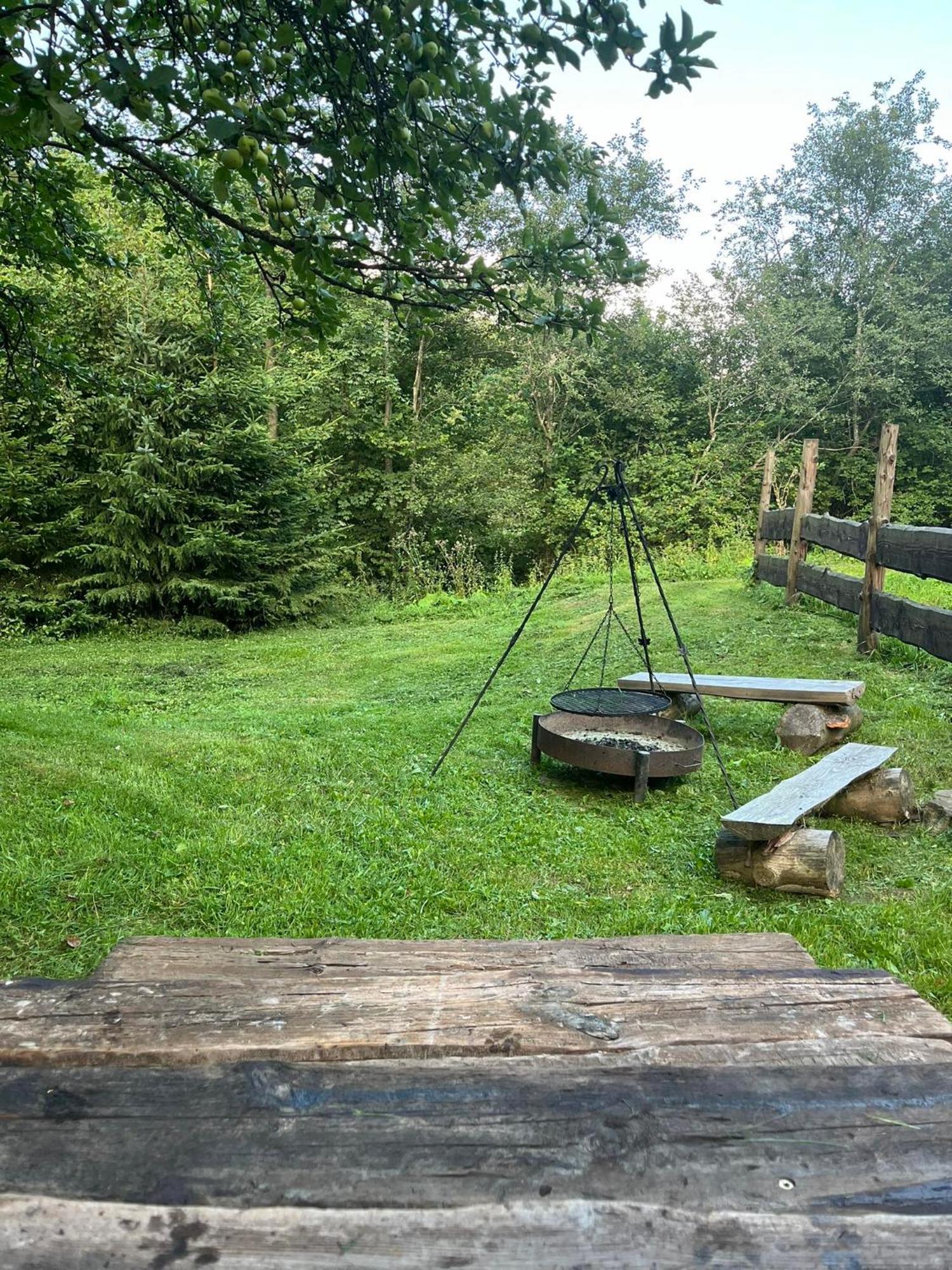 Pod Dobrym Adresem- Domek Nad Stawem Cisna Esterno foto