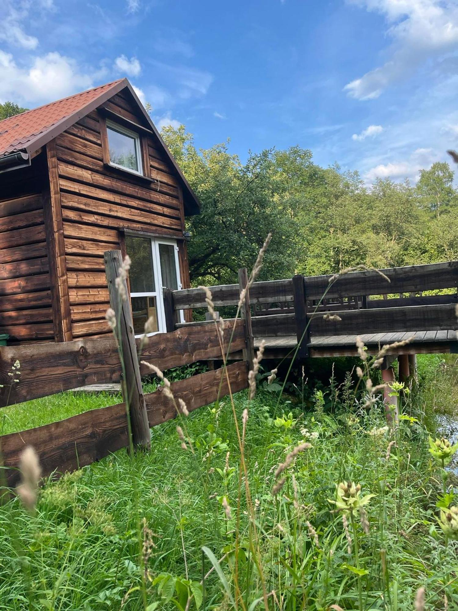 Pod Dobrym Adresem- Domek Nad Stawem Cisna Esterno foto