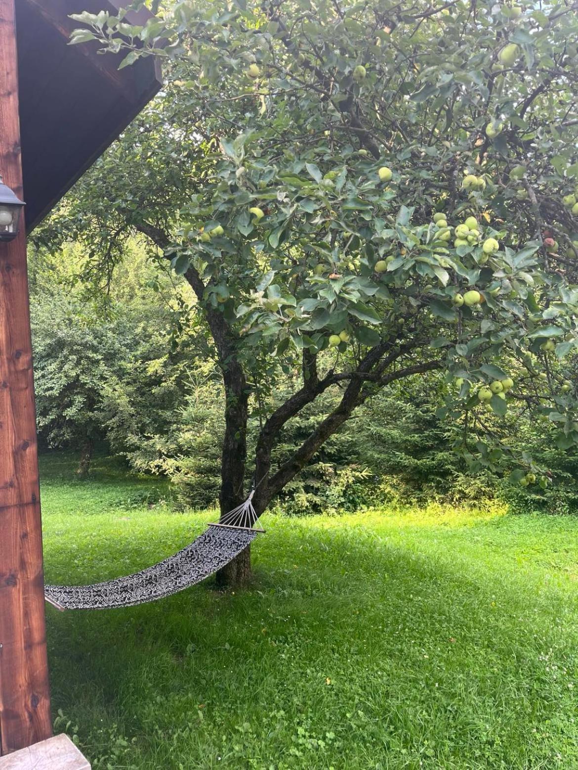 Pod Dobrym Adresem- Domek Nad Stawem Cisna Esterno foto